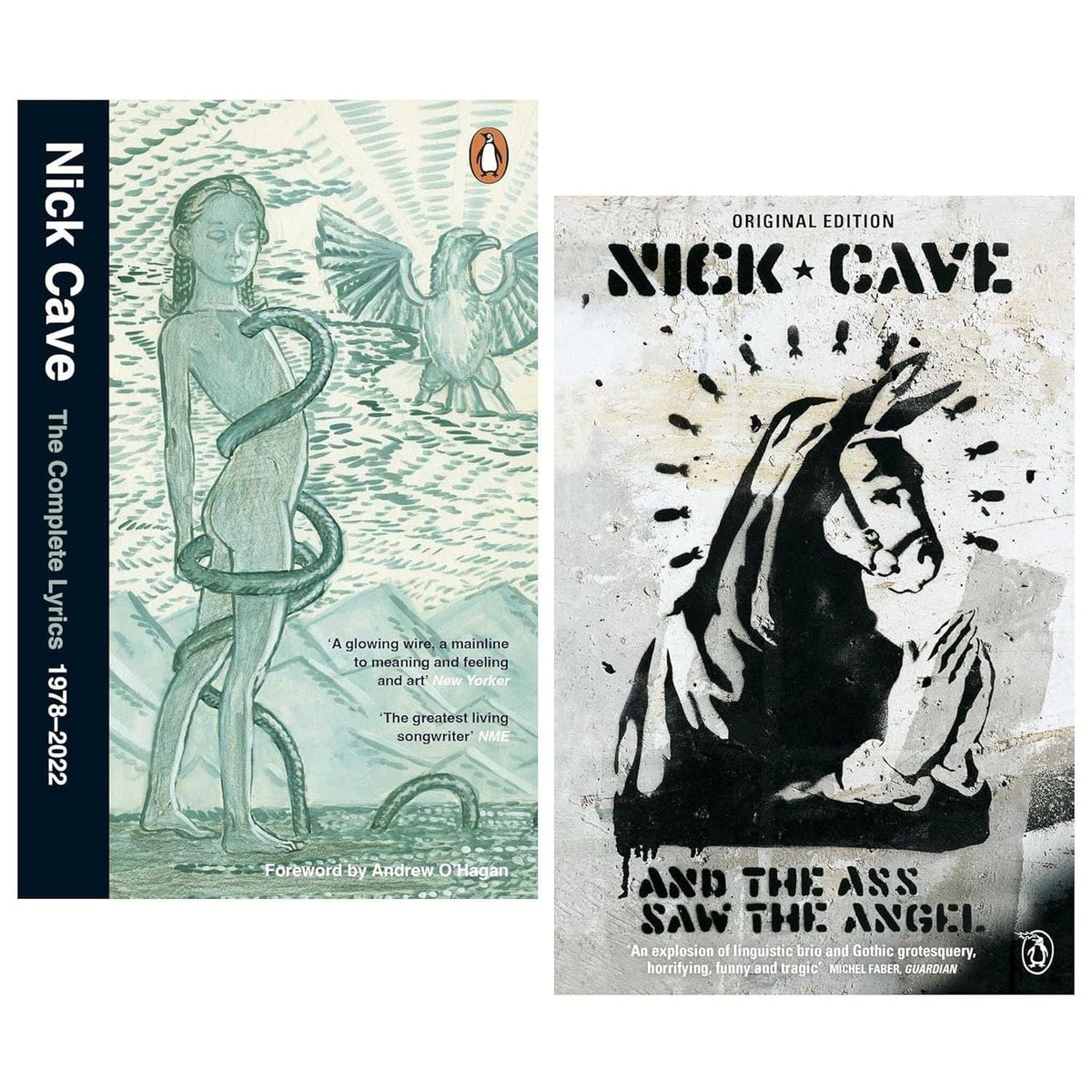 Nick Cave 2 Books Collection Set (And the Ass Saw the Angel & The Complete Lyrics)