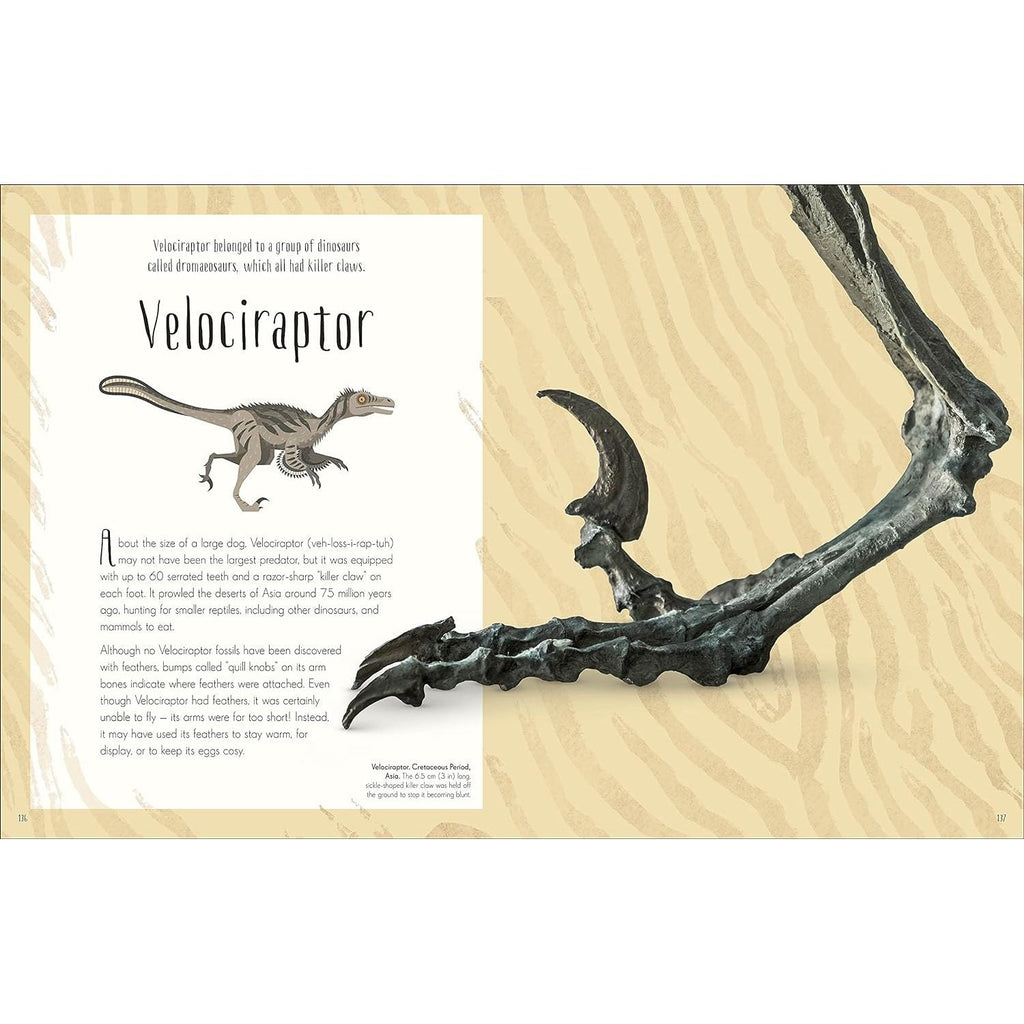 Dinosaurs and Other Prehistoric Life (DK Children's Anthologies)