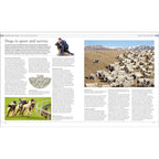 The Dog Encyclopedia: The Definitive Visual Guide (DK Pet Encyclopedias)