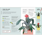 How Not to Kill Your Houseplant: Survival Tips for the Horticulturally Challenged