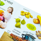 My First Seasons: Let's Learn About the Year! (DK My First Tabbed Board Book)