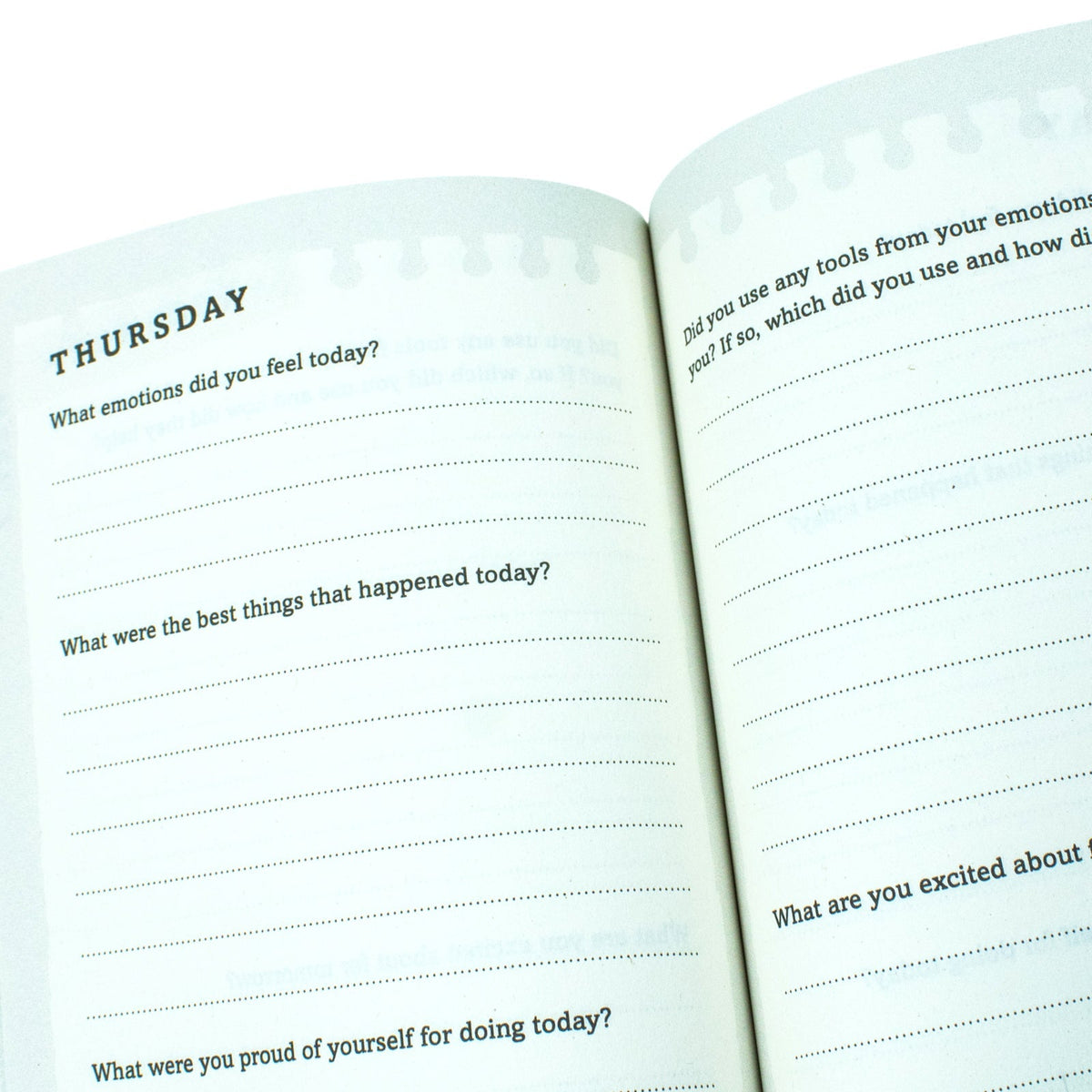 Manifest for Kids: Four steps to being the best you by Roxie Nafousi h
