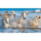 The Horse Encyclopedia (DK Pet Encyclopedias) by Elwyn Hartley Edwards