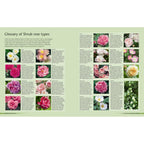 Alan Titchmarsh How to Garden: Growing Roses