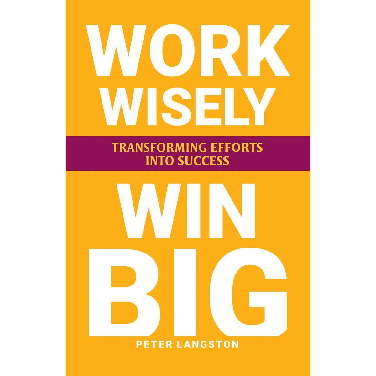 Success Sauce, Lazy Genius, Ultimate Edge, Work Wisely Win Big, Own It Crush It Do It 5 Books Collection Set