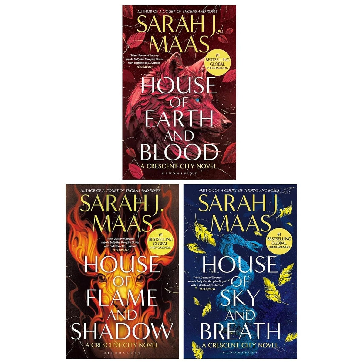 Crescent City Series 3 Books Collection Set by Sarah J Maas (House of Flame and Shadow, House of Sky and Breath, House of Earth and Blood)