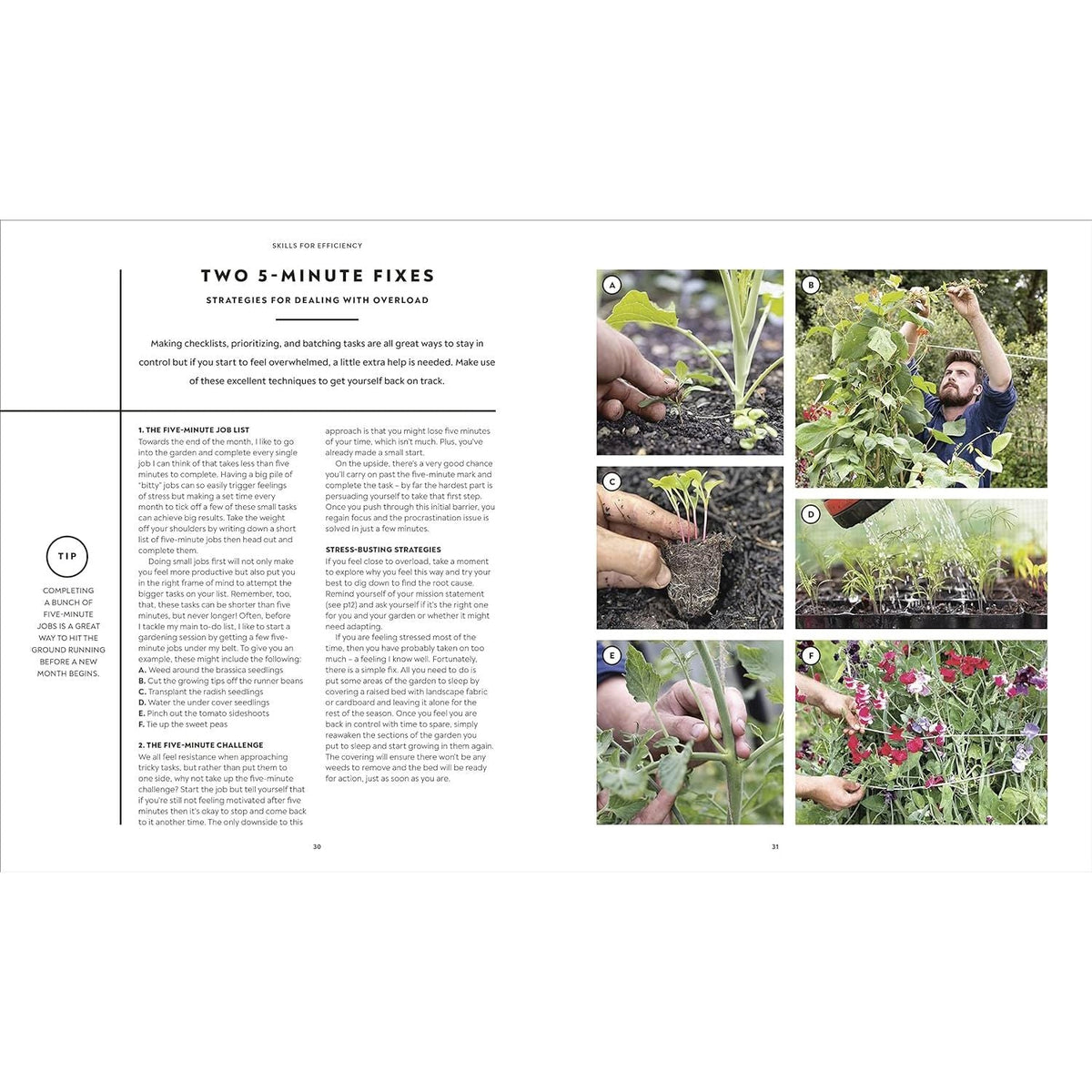 The Vegetable Grower's Handbook: Unearth Your Garden's Full Potential by Huw Richards