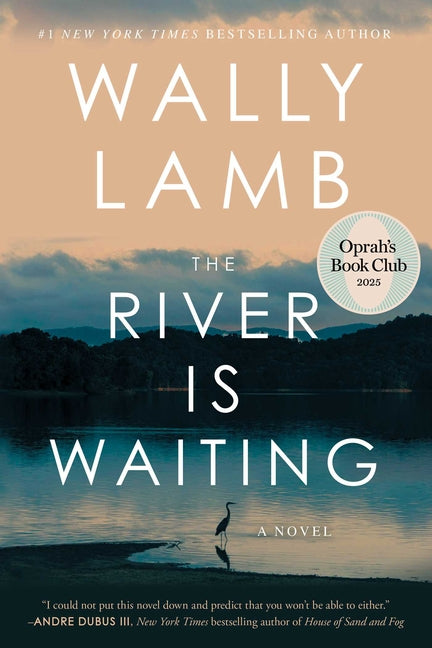 The River Is Waiting (Oprah's Book Club)