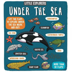 Little Explorers Series 7 Books Collection Set (Food, Weather, Science, Maths, Under the Sea, My Amazing Body and When I Grow Up)